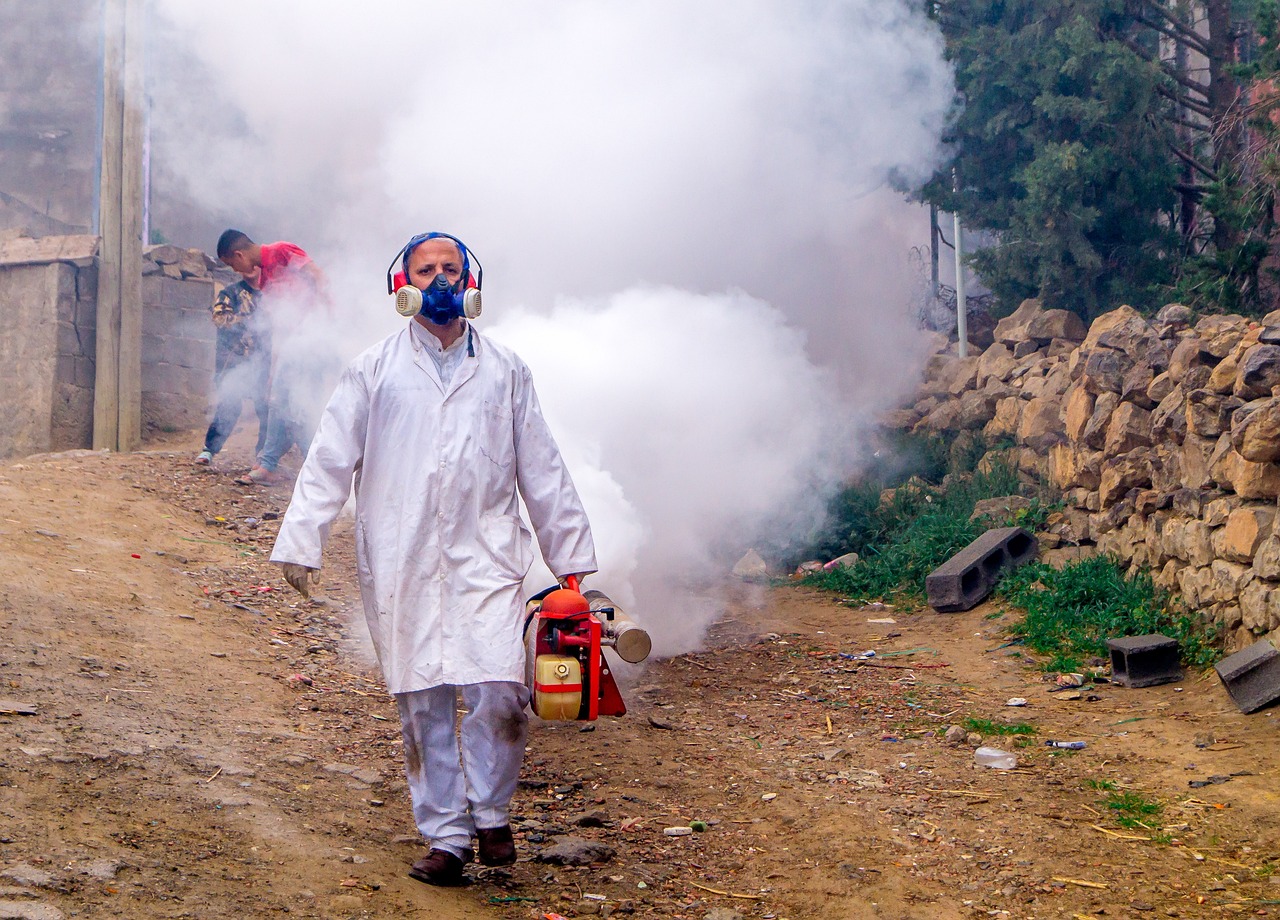 Skuteczne Metody Eliminacji Szkodników w Domu